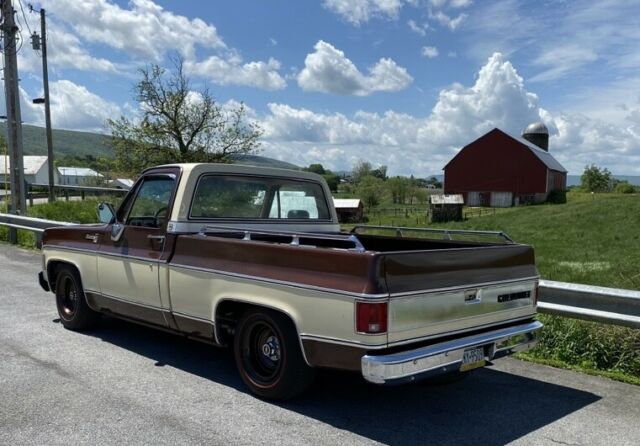 Chevrolet C-10 1978 image number 11