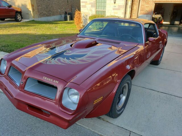 Pontiac Trans Am 1976 image number 0