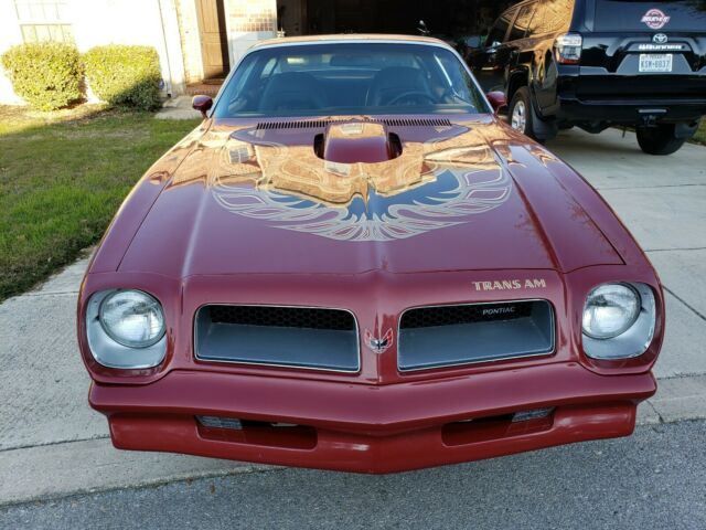 Pontiac Trans Am 1976 image number 1