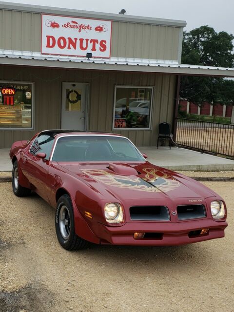 Pontiac Trans Am 1976 image number 17