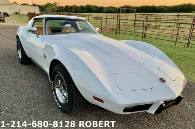 Chevrolet Corvette 1976 image number 13