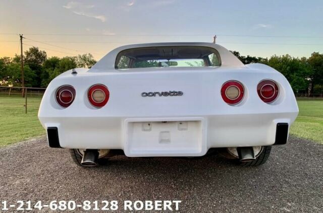 Chevrolet Corvette 1976 image number 32