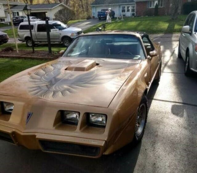 Pontiac Trans Am 1979 image number 5