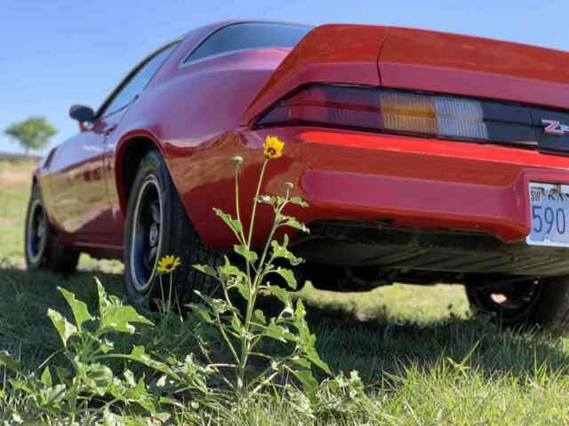 Chevrolet Camaro Z 28 1979 image number 13