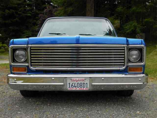 Chevrolet C-10 1973 image number 28