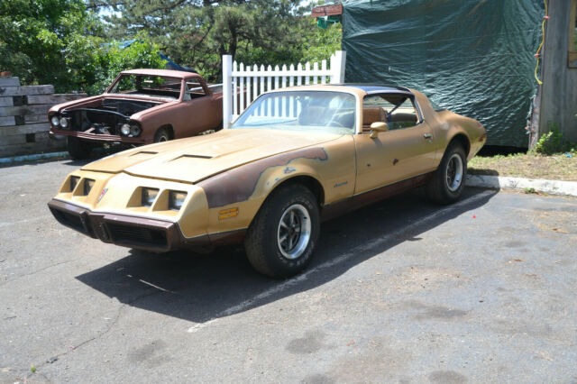 Pontiac Firebird 1979 image number 0