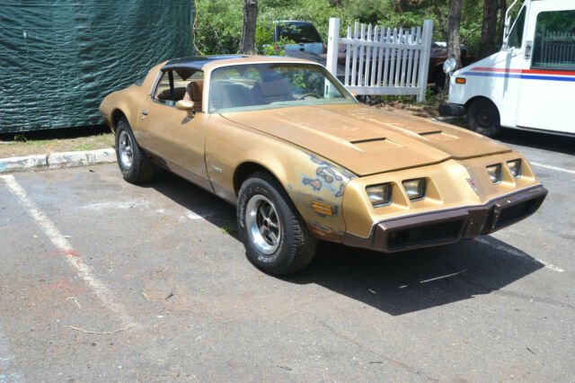 Pontiac Firebird 1979 image number 1