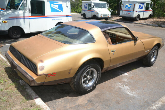 Pontiac Firebird 1979 image number 27