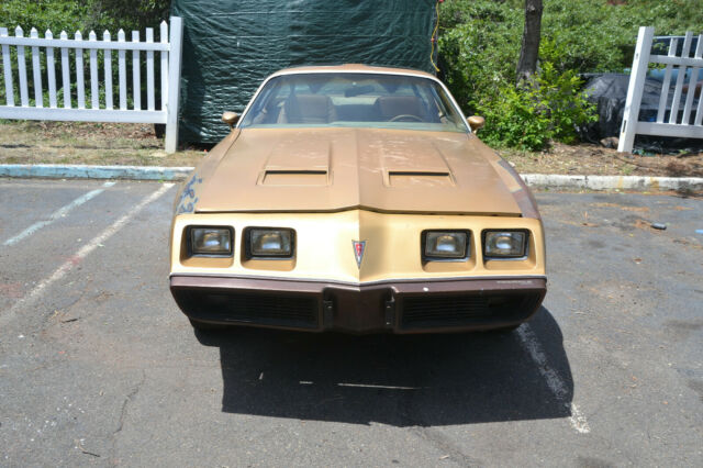 Pontiac Firebird 1979 image number 29