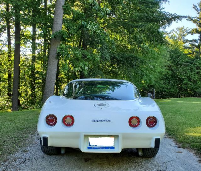 Chevrolet Corvette 1978 image number 14