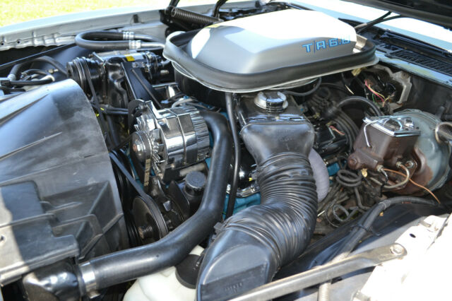 Pontiac Trans Am 1979 image number 31