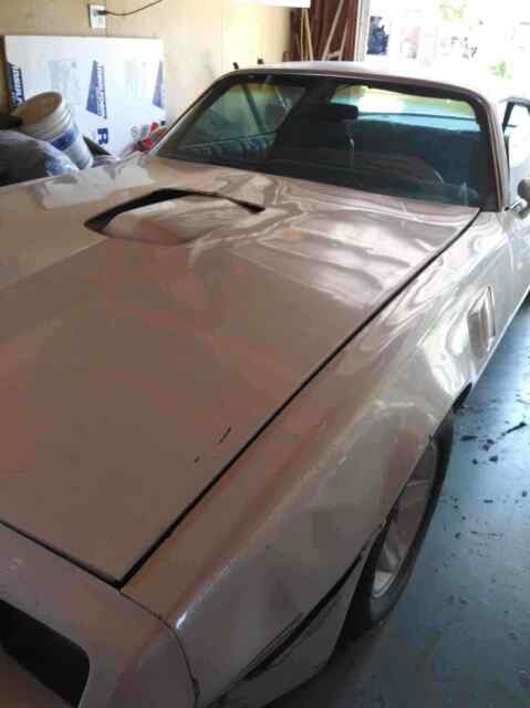 Pontiac Trans Am 1979 image number 3