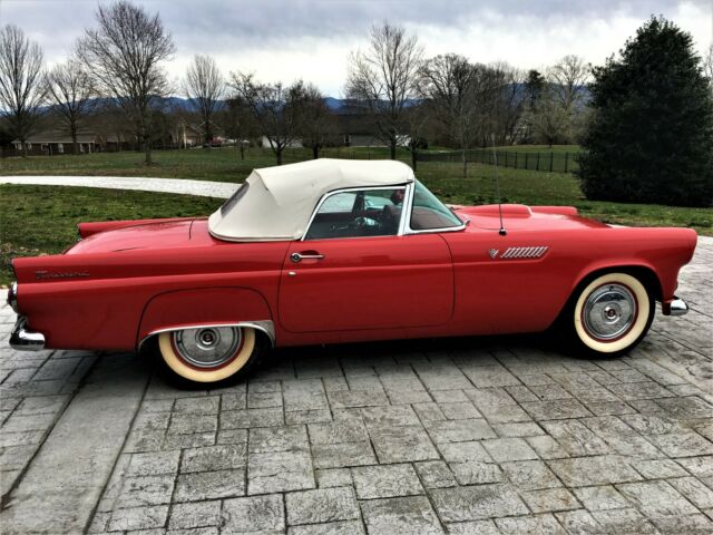 Ford Thunderbird 1955 image number 1