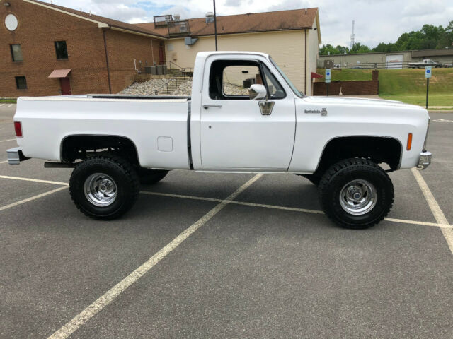 Chevrolet C/K Pickup 1500 1979 image number 13