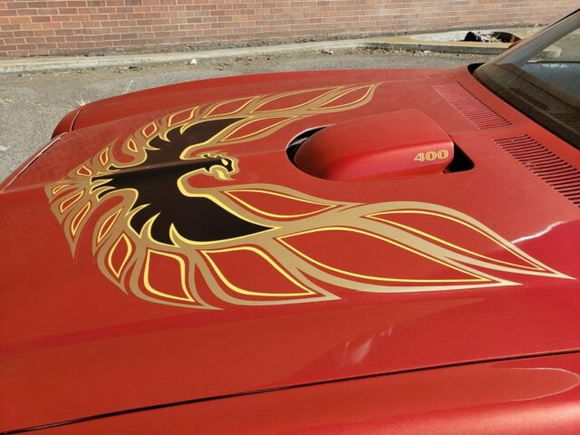 Pontiac Trans Am 1976 image number 11