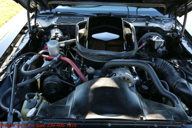 Pontiac Trans Am 1979 image number 28