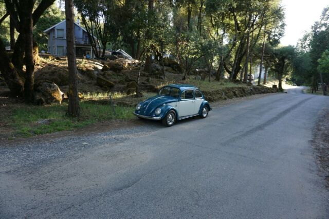 Volkswagen Beetle - Classic 1966 image number 2