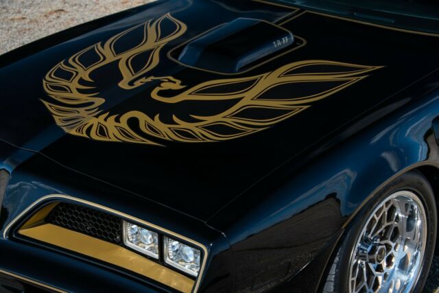 Pontiac Trans Am 1978 image number 18