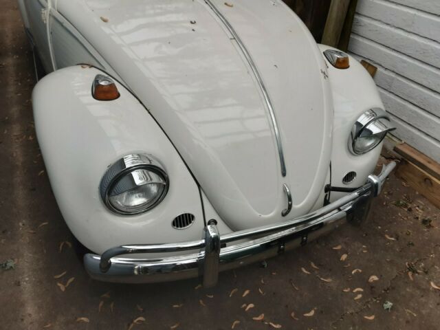 Volkswagen Beetle - Classic 1967 image number 3