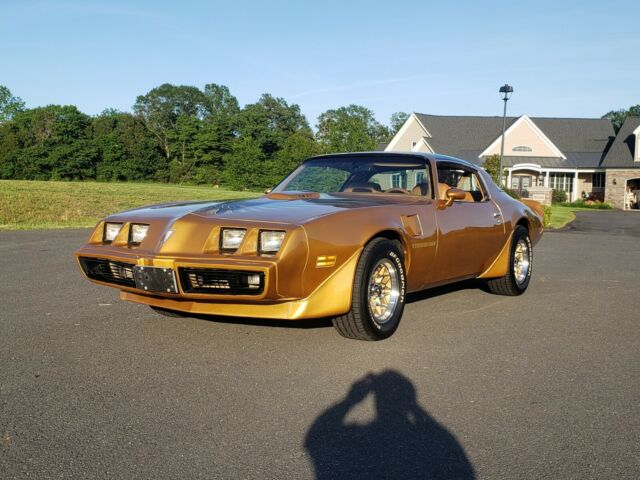 Pontiac Trans Am 1979 image number 13