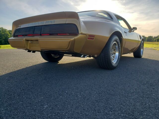 Pontiac Trans Am 1979 image number 15