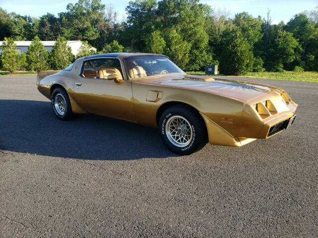 Pontiac Trans Am 1979 image number 16