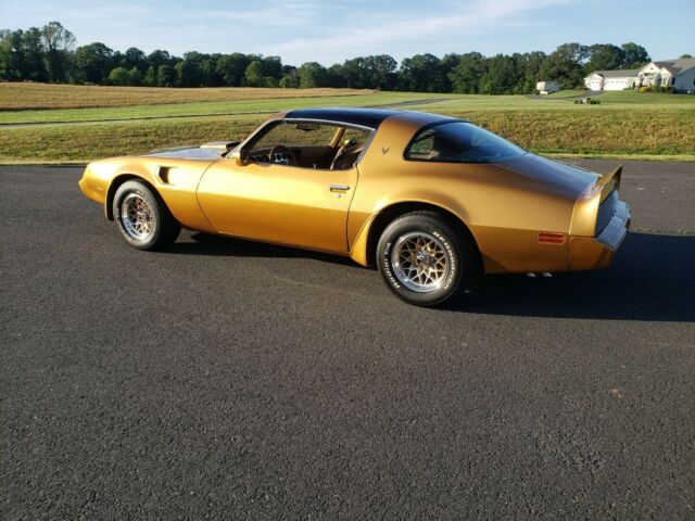 Pontiac Trans Am 1979 image number 3