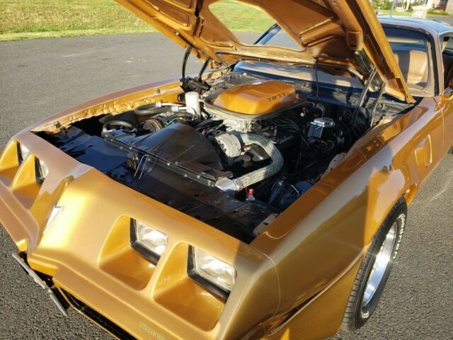 Pontiac Trans Am 1979 image number 8