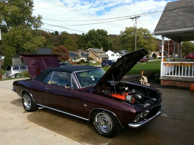 Chevrolet Corvair 1965 image number 16