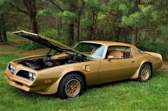 Pontiac Trans Am 1978 image number 1