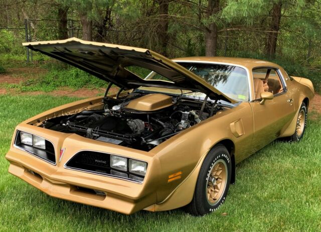 Pontiac Trans Am 1978 image number 11