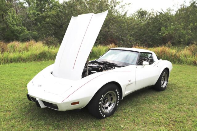 Chevrolet Corvette 1979 image number 19