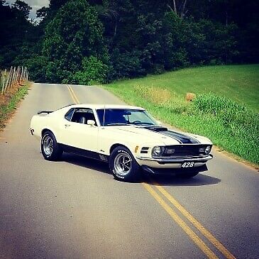 Ford Mustang Mach1 1970 image number 12