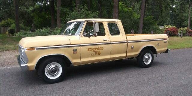 Ford F-250 1975 image number 0