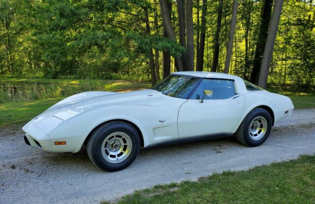 Chevrolet Corvette 1978 image number 16