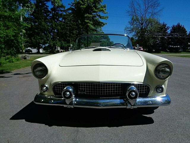 Ford Thunderbird 1955 image number 1