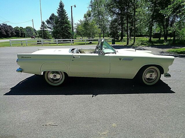 Ford Thunderbird 1955 image number 3