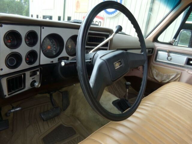 Chevrolet Cheyenne 1978 image number 21