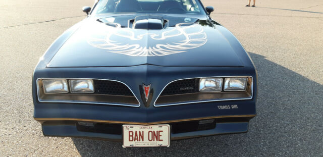 Pontiac Trans Am 1977 image number 22