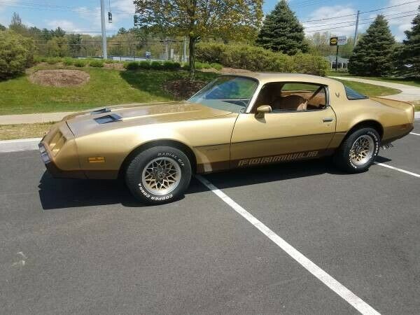 Pontiac Firebird 1979 image number 12