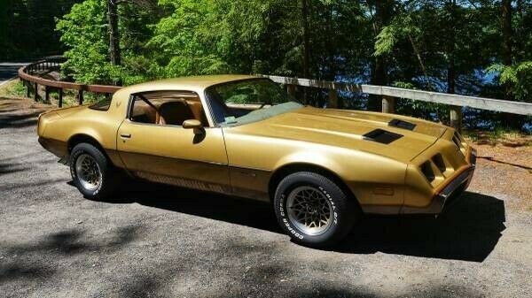 Pontiac Firebird 1979 image number 13