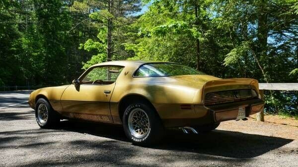 Pontiac Firebird 1979 image number 16