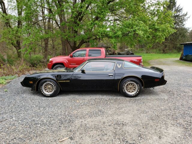 Pontiac Trans Am 1979 image number 10