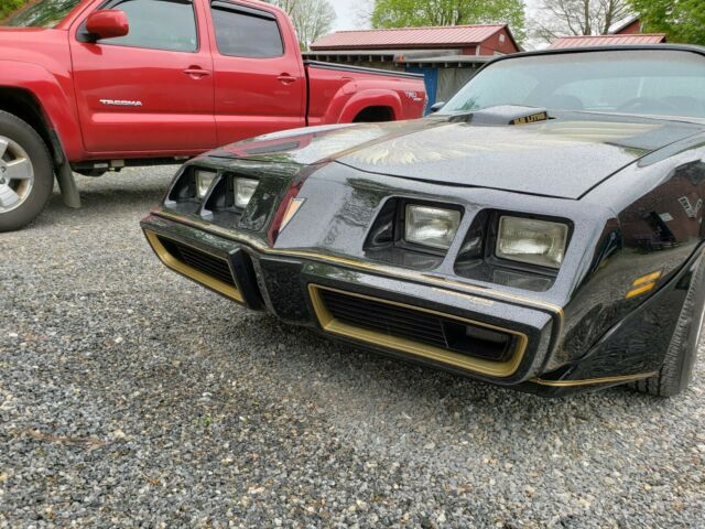 Pontiac Trans Am 1979 image number 11