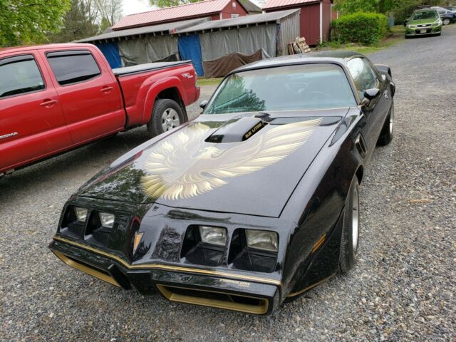 Pontiac Trans Am 1979 image number 13