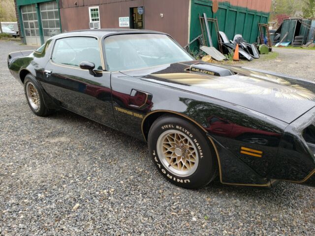 Pontiac Trans Am 1979 image number 14