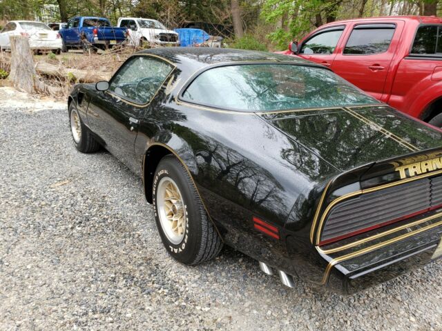 Pontiac Trans Am 1979 image number 15