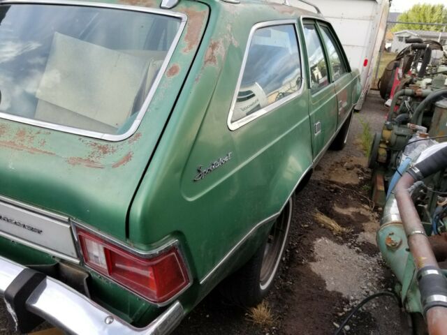 AMC Hornet 1973 image number 3