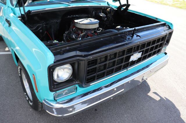 Chevrolet C-10 1978 image number 44