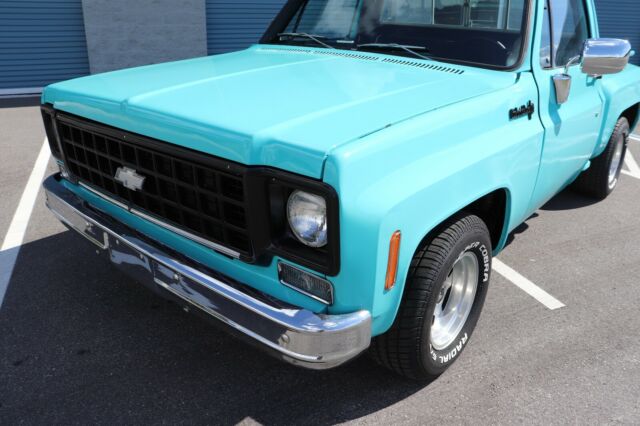 Chevrolet C-10 1978 image number 6